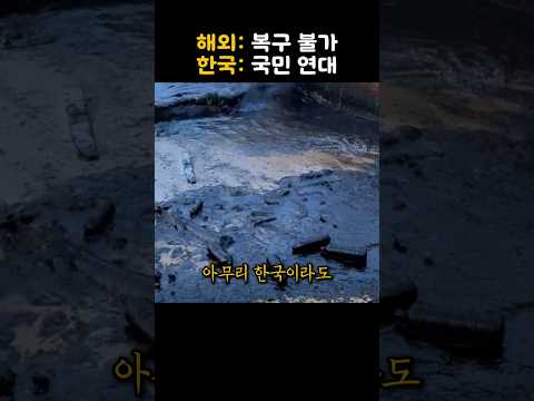 수십 년이 걸려도 복구가 불가능하다고 선언한 재난을 한국이 해결하자 충격적인 반응 thumbnail