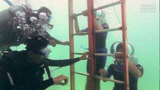 Divewalker At Bali - Benoa Tirta Harum Hd