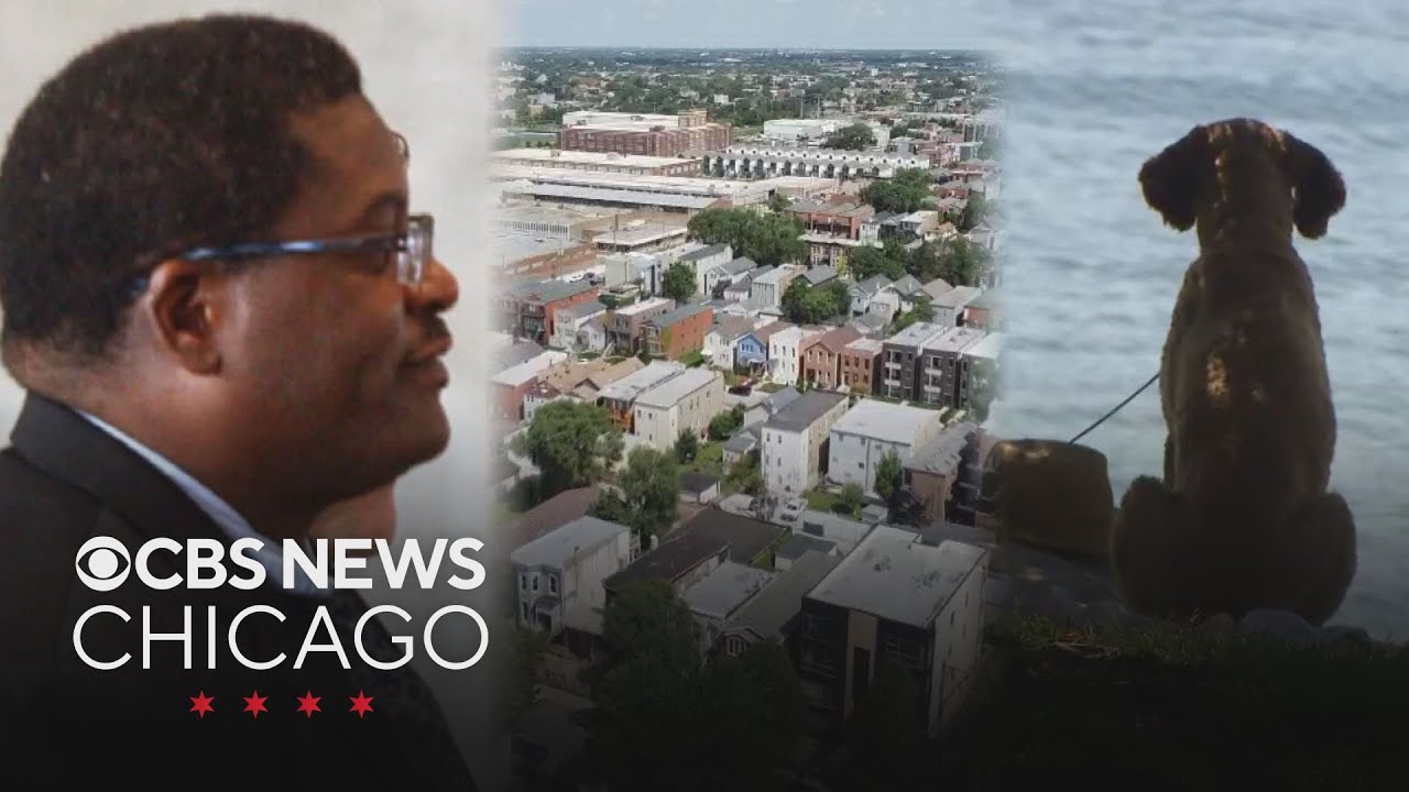 City Council on $90M settlement, granny flats, dogs at restaurants & more | CBS Chicago