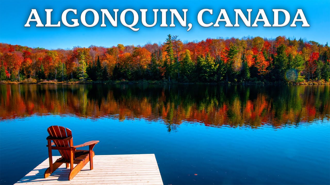 The World’s Most Beautiful Resort? Inside the Historic Algonquin