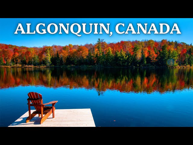 The World’s Most Beautiful Resort? Inside the Historic Algonquin