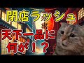 【猫ミーム】天下一品が閉店ラッシュ…値上げの裏に隠されたヤバい真実とは？