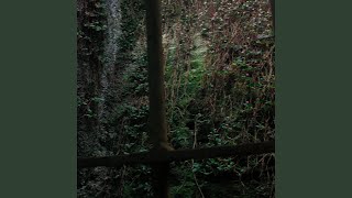 Runaway (Cover)
