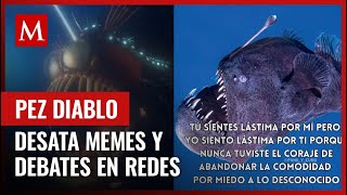 El Pez Fue Encontrado En La Superficie Del Mar, Un Hecho Sin Precedentes Esto Desató Reacciones