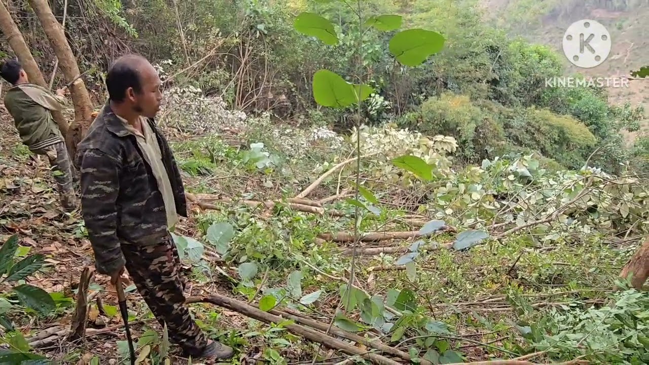 26  2026 lub neej ua teb