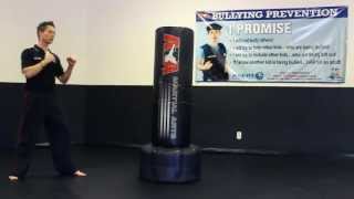 How to Do a Round Kick - Schafer's ATA Martial Arts