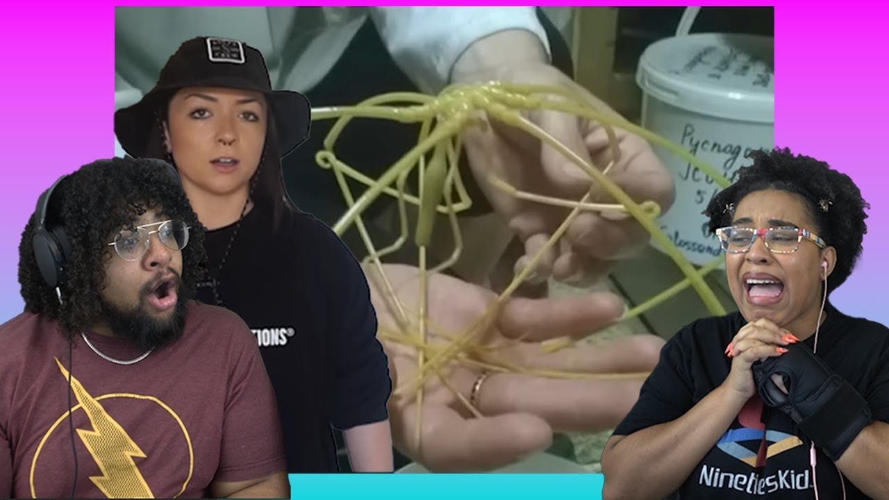 WTF Is That?! Alien Invertebrates | Lindsay Nikole Reaction ft. Chavezz