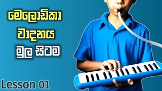 Melodica Lessons In Sinhala  Melodica Sinhala  Melodica Notes   Sir
