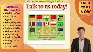 CamelliaGlobal Agent