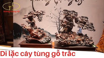 Tượng Gỗ: Di lặc ngồi cây tùng gỗ trắc đỏ đen siêu vip | Ý nghĩa phong thủy di lặc | Xưởng Tượng Gỗ