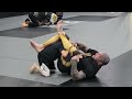 MIGHTY MOUSE VS. SON CASH