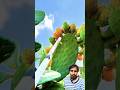 Green screen #farming #satisfying #toptrending #shorts