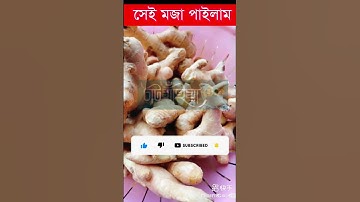 Using Ai to Combine fruits into EXISTING Animals #shorts #ai #aiart #fruits  #animals #funny