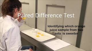 Paired Difference Test