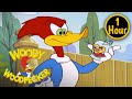 1 Hour of Woody Woodpecker Full Episodes | Love Is In The Air