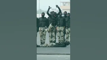 تدريبات الجيش المصري الجيش الجيش المصري 