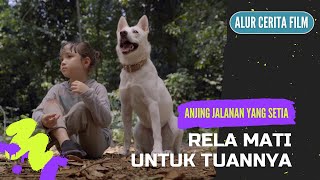 PECINTA ANJING WAJIB NONTON ‼ Alur Cerita Film June dan Kopi (2021) #AlurCeritaFilm