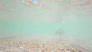 Tidal Waltz