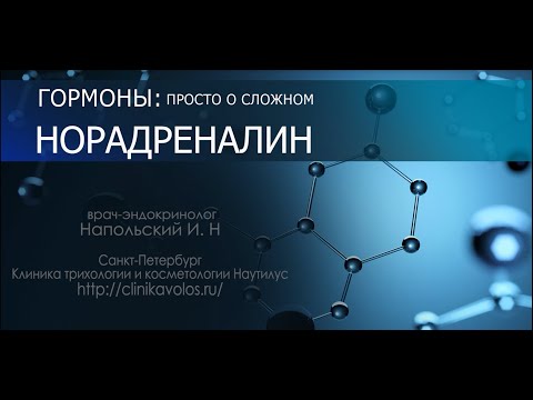 Норадреналин - гормон и нейромедиатор. Как его можно повысить и нужно ли это?