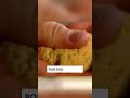 Control de Textura y Humedad en la Molienda | Dough Texture and Moisture Control Process