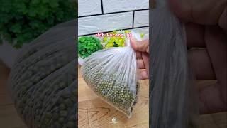 Diwei Kacang Ijo Simbok Kon Gawe Isi Onde Onde