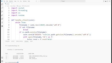 P2P-bestandsdelingstoepassing in Python