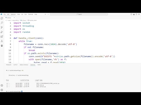 P2P file sharing application in Python