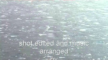 cr 2013 darrell j banks cool running