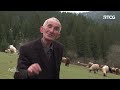 Izazovi stočara i budućnost organske proizvodnje - AGROSAZNANJE