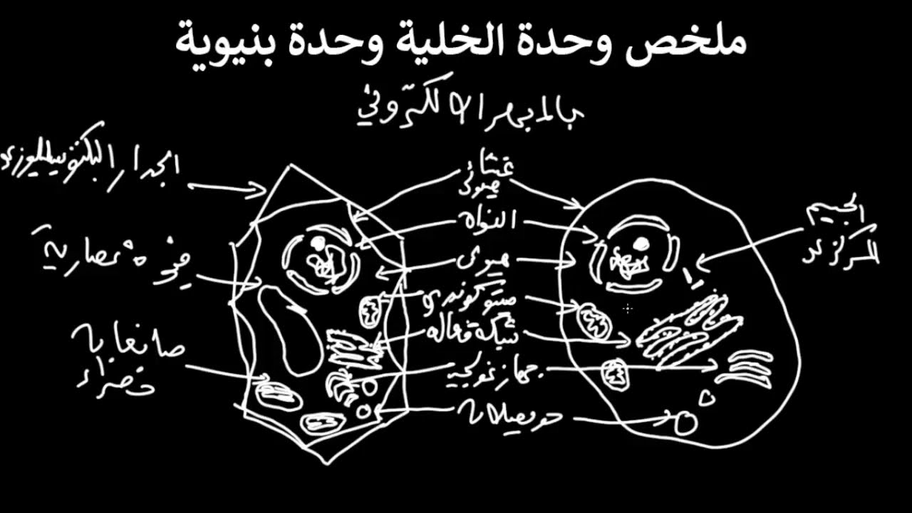 ملخص الخلية وحدة بنيوية | ثانية رياضيات