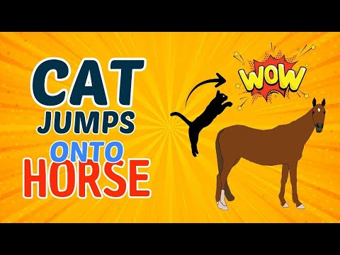 Cat jumps onto horse - Champy and Morris BFFs