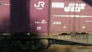 1071列車［岡］EF210-4