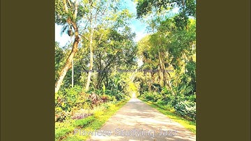 Pulsating Ambiance for Late Night Studying