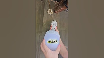 Đui đèn cảm biến chuyển động tự bật tắt E27 tiết kiệm điện #thinhhanh #giadinh #xuhướng