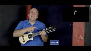 Kjarkas - Vivir Junto a Ti - Tutorial Fernando Torrico - Charango