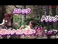 珍回【海賊グリ＃６】いろいろ失敗したトリックww