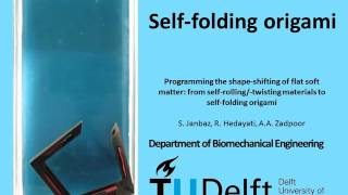 Self-folding origami, TU Delft, Prof Amir A Zadpoor