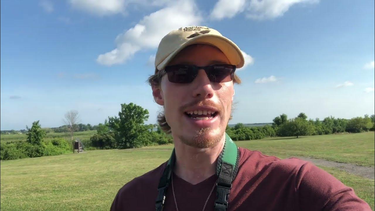 Why Do These Hawks Migrate North in August? Braddock Bay Hawk Watch