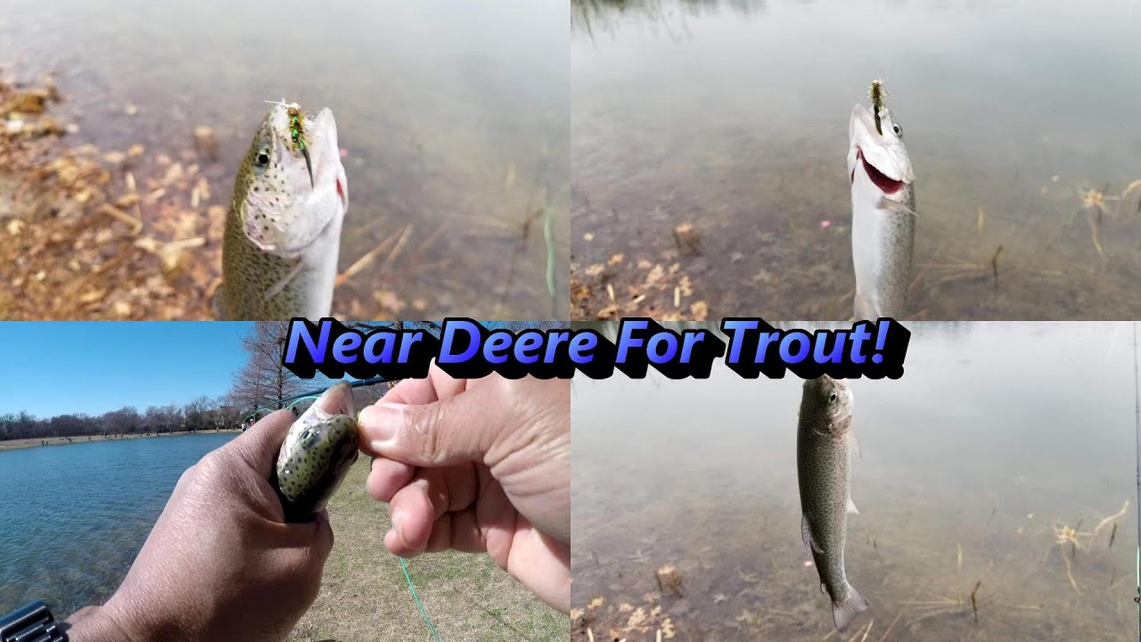 Near Deere Limited Out Trout Fishing 