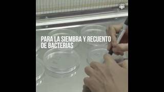 Lacal  Anlisis De Enterobacterias En Productos Lcteos  Unsa