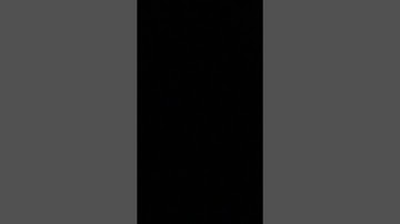 سورة النور الربع الثانى