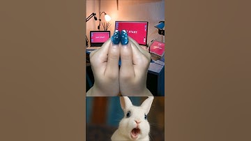 🤯 Only 1% Can Guess the Number Correctly!#shorts #rabbit #bombastic #video