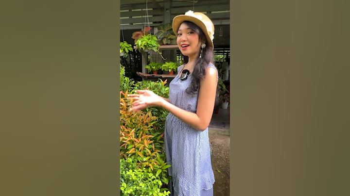 Green Haul Day with Zuly