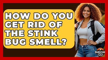 How Do You Get Rid Of The Stink Bug Smell? - Survival Skills for Everyone