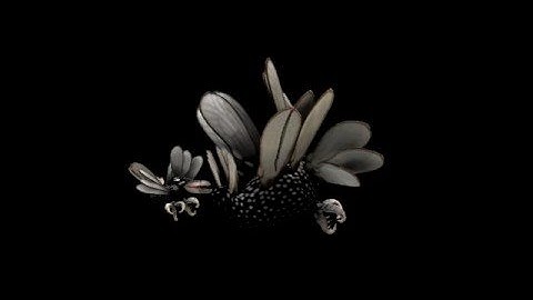 For the Boids Spore video