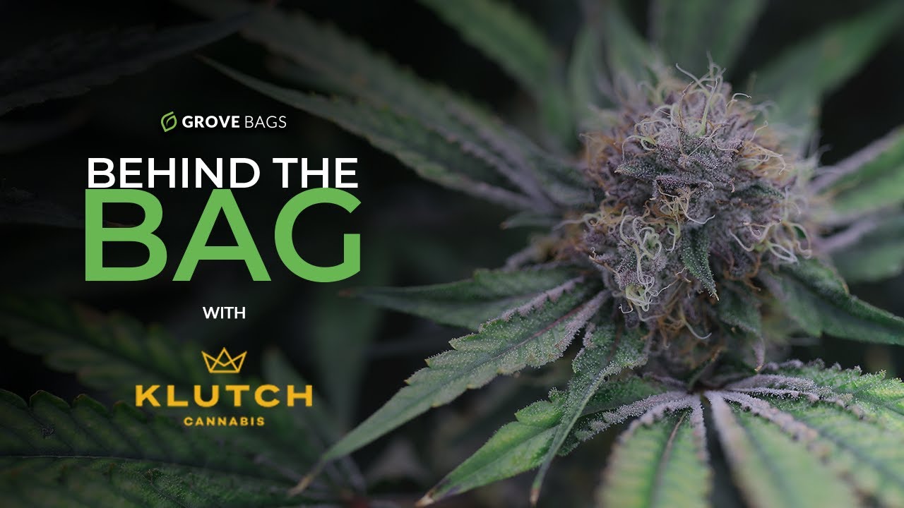 Взгляд изнутри на один из лучших диспансеров каннабиса в Огайо | Klutch Cannabis: закулисные подр...