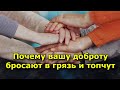 Почему вашу доброту бросают в грязь и топчут