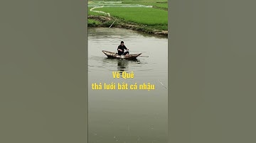 Thả lưới bắt cá ở quê #truongthinhvlog