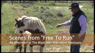 Free To Run Promo