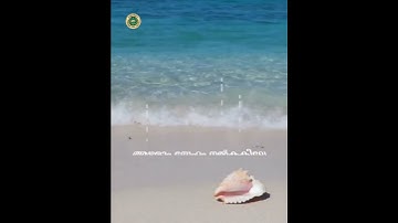 Malayalam Christian whatsapp status song | Ottaikai poyo nee |Christain status # Shorts